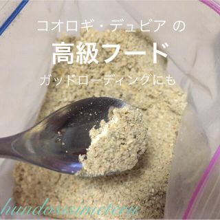 【専用出品】コオロギの高級フード50g 栄養豊富 飼育繁殖に(爬虫類/両生類用品)