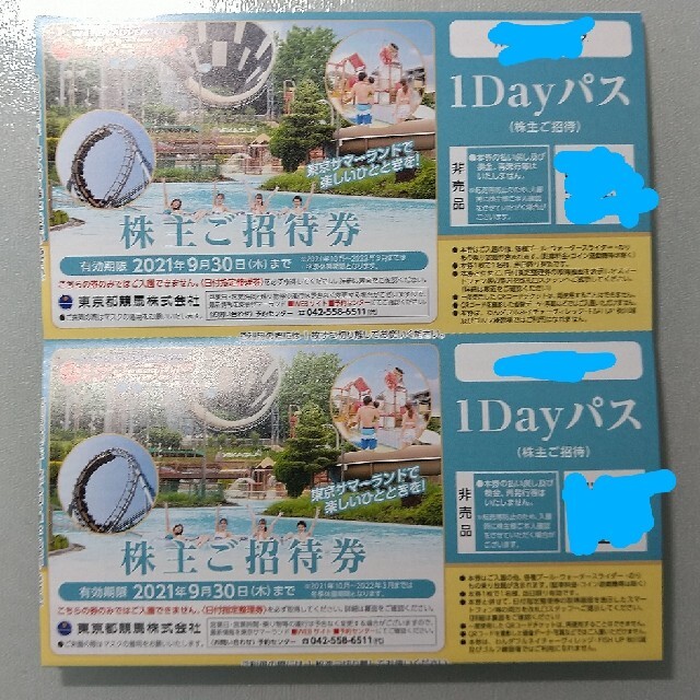 ★翌日発送 東京都競馬 株主優待 東京サマーランド １Dayパス 3枚