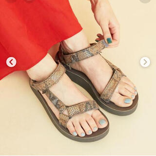 テバ(Teva)の新品！TEVA パイソンサンダル　BEAUTY&YOUTH 別注(サンダル)