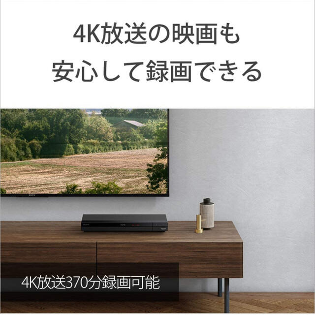 SONY(ソニー)のソニーSONY ビデオ用ブルーレイディスク　BD-LE XL（100GB） エンタメ/ホビーのDVD/ブルーレイ(その他)の商品写真