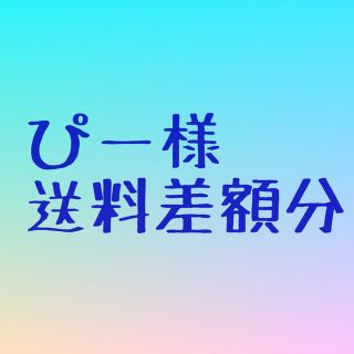 ぴー様　送料差額分(その他)