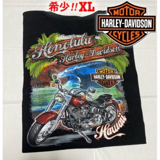 ダブルアールエル(RRL)の超希少 Harley-Davidson オーバーサイズ 3Dプリントtee(Tシャツ/カットソー(半袖/袖なし))