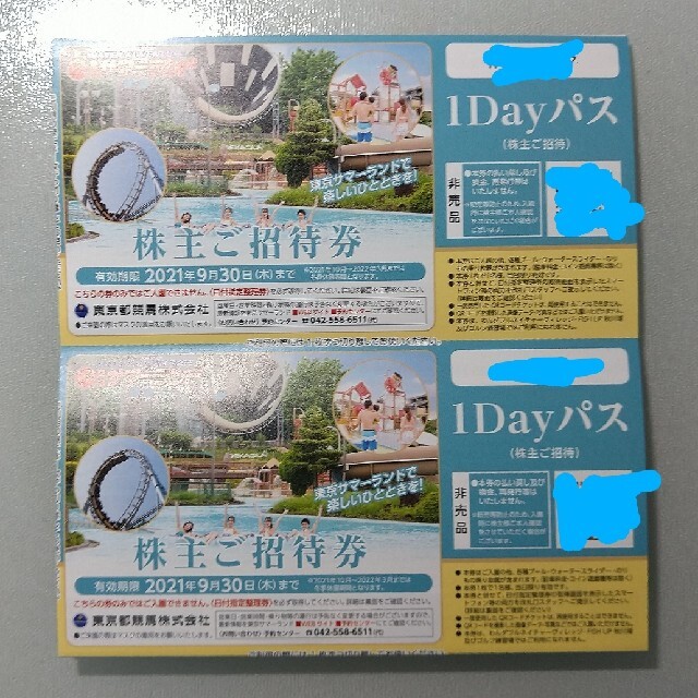 翌日発送 東京都競馬 株主優待 東京サマーランドの１Dayパス２枚♪