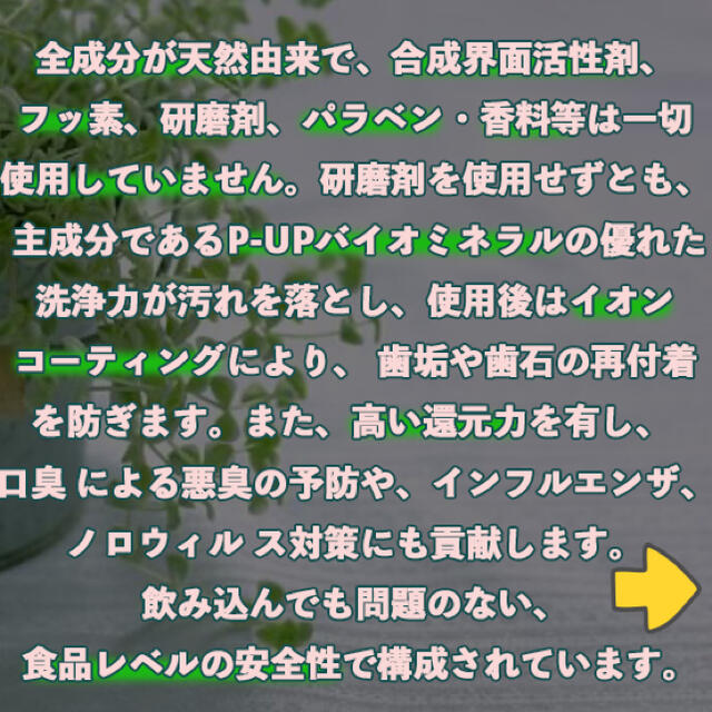 歯磨き剤 Biopaste-バイオペースト- 60g 【P-UP波/テラヘルツ】 コスメ/美容のオーラルケア(歯磨き粉)の商品写真