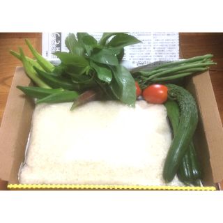 野菜詰め合わせ　米入り　コンパクトBOX(野菜)