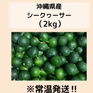 沖縄県産シークワーサー2kg 常温発送(フルーツ)