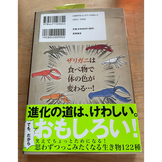 りこ様　専用　ざんねんないきもの事典 おもしろい！進化のふしぎ　美品　小学生 エンタメ/ホビーの本(絵本/児童書)の商品写真