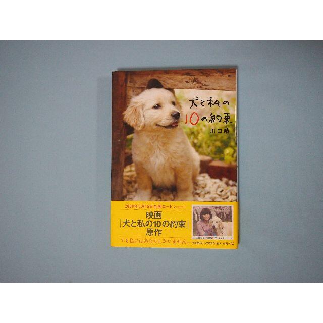 犬と私の10の約束 川口晴 文藝春秋 エンタメ/ホビーの本(文学/小説)の商品写真