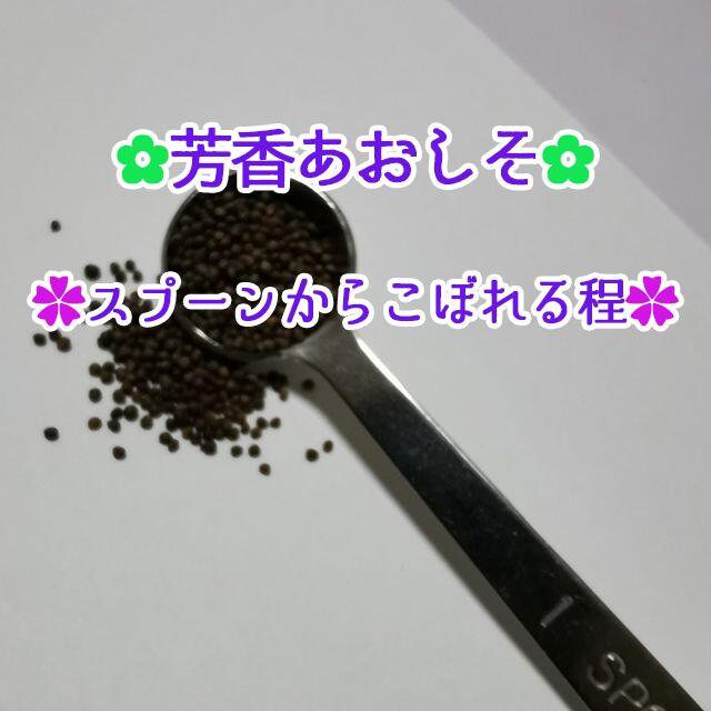 芳香あおしそ大容量1ml　家庭菜園 野菜 ハーブ 種 ハンドメイドのフラワー/ガーデン(その他)の商品写真