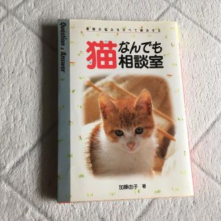 猫なんでも相談室 愛猫の悩みをすべて解決する(住まい/暮らし/子育て)