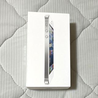 アップル(Apple)のiPhone5 空箱(その他)