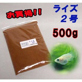 めだか の 餌 エサ◇ライズ２号 ５００ｇ◇メダカ の えさ☆ 愛好家御用達②(アクアリウム)