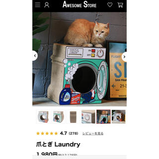 爪とぎ　猫　Laundry(猫)