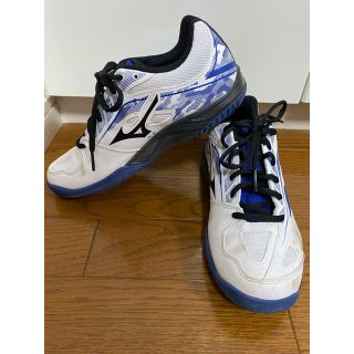 ミズノ(MIZUNO)の【最終値下げ】ソフトテニス　オールコート用シューズ(シューズ)