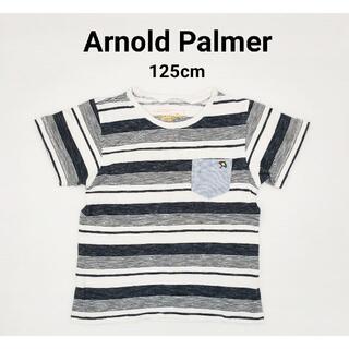 アーノルドパーマー(Arnold Palmer)の125cm☆アーノルド・パーマージャガード?ランダムボーダーＴシャツ(Tシャツ/カットソー)