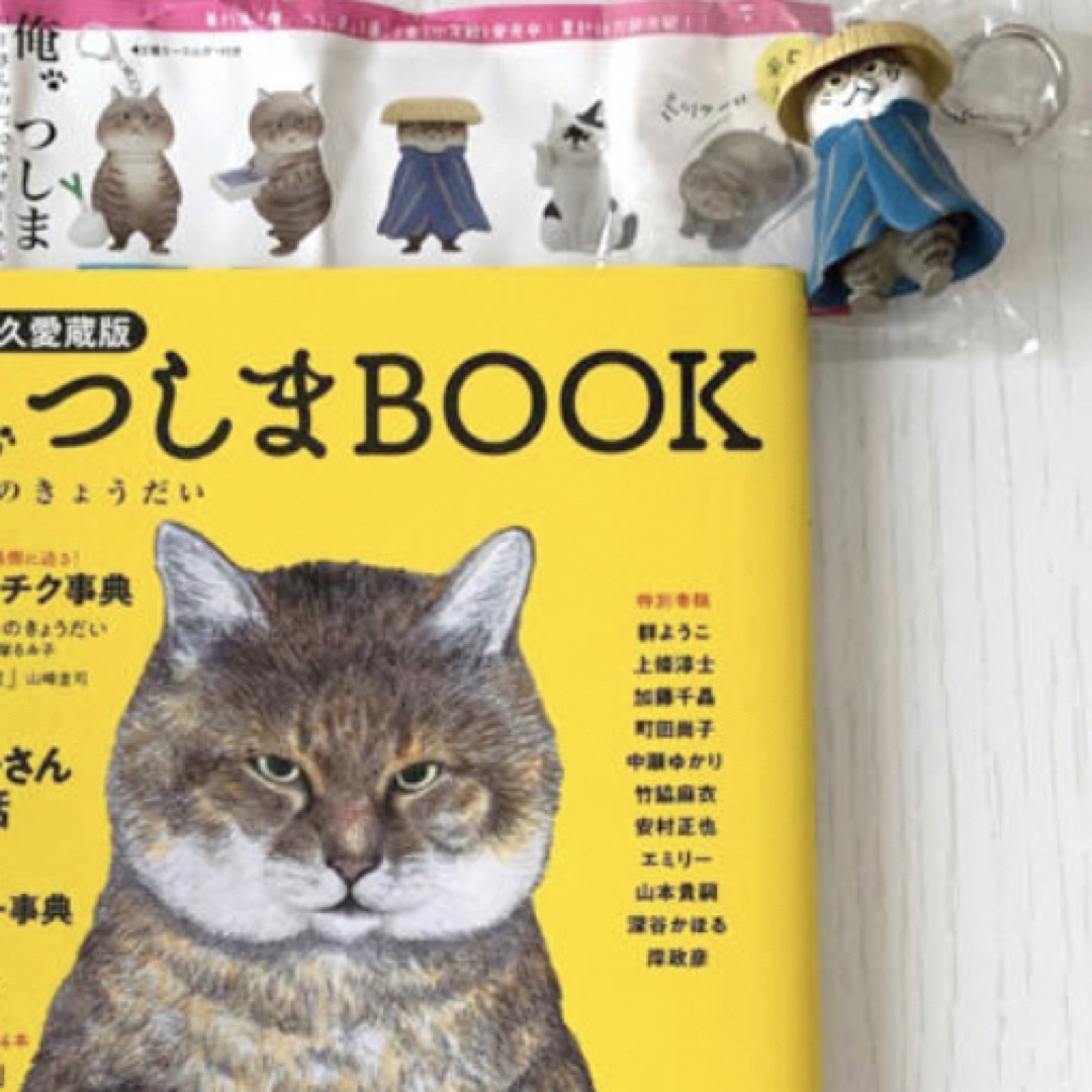 小学館(ショウガクカン)のつーさんのおでかけキーホルダー（股旅の、つしま）＆ 「俺、つしまBOOK 」 エンタメ/ホビーのおもちゃ/ぬいぐるみ(キャラクターグッズ)の商品写真