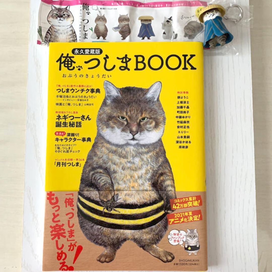 小学館(ショウガクカン)のつーさんのおでかけキーホルダー（股旅の、つしま）＆ 「俺、つしまBOOK 」 エンタメ/ホビーのおもちゃ/ぬいぐるみ(キャラクターグッズ)の商品写真