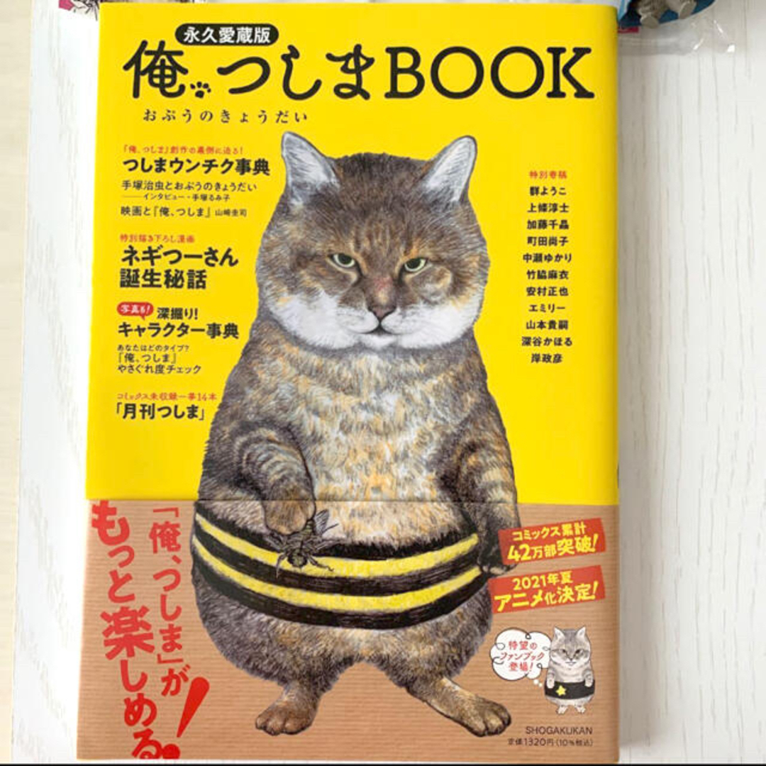 小学館(ショウガクカン)のつーさんのおでかけキーホルダー（股旅の、つしま）＆ 「俺、つしまBOOK 」 エンタメ/ホビーのおもちゃ/ぬいぐるみ(キャラクターグッズ)の商品写真