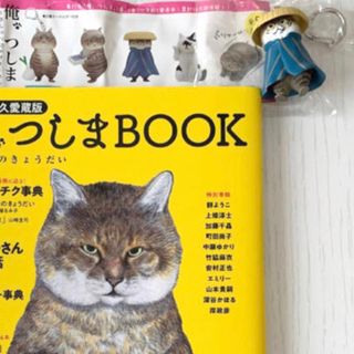 ショウガクカン(小学館)のつーさんのおでかけキーホルダー（股旅の、つしま）＆ 「俺、つしまBOOK 」(キャラクターグッズ)