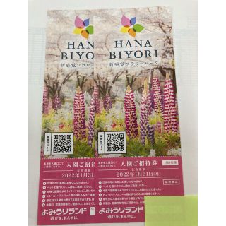 よみうりランド はなびより HANABIYORI 招待券　２枚(遊園地/テーマパーク)