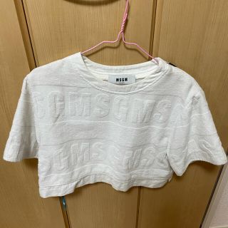 エムエスジイエム(MSGM)のMSGM トップス(Tシャツ(半袖/袖なし))