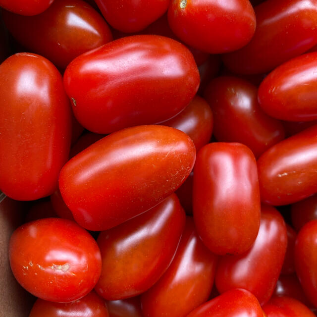 鶴様専用ページ　訳あり6キロ 食品/飲料/酒の食品(野菜)の商品写真