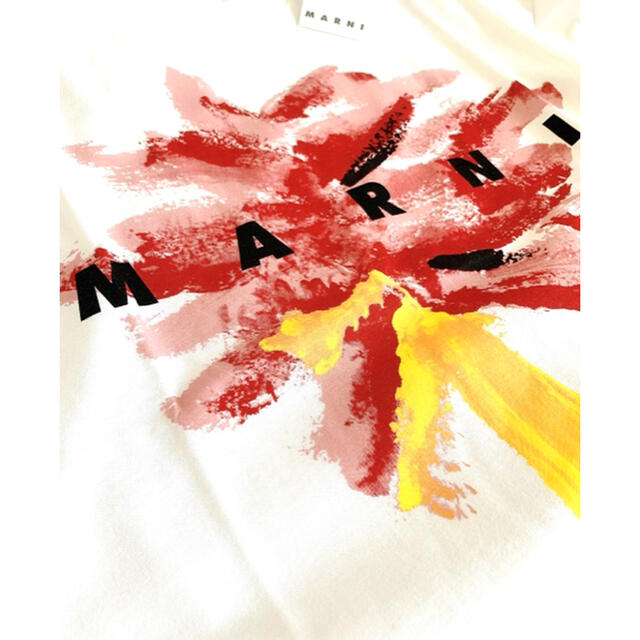 【新作】マルニ　パームツリーTシャツ　ホワイト×ピンク　14 6