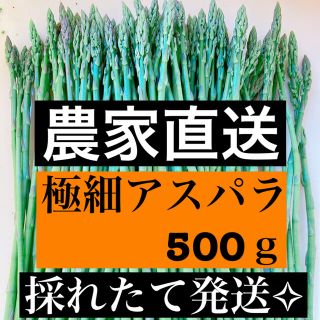 アスパラ 極細サイズ 即購入OKです(野菜)