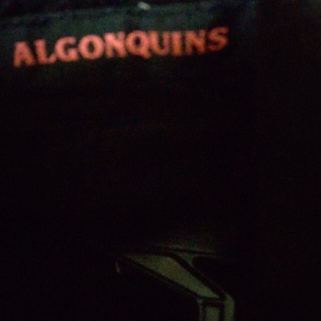 ALGONQUINS(アルゴンキン)のアルゴンキン  チェックシャツ レディースのトップス(シャツ/ブラウス(長袖/七分))の商品写真