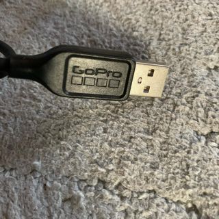 ミニUSB GoProについてきた(その他)