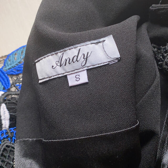 Andy(アンディ)の＊Andy＊ハイネック＊ミニワンピース＊ レディースのワンピース(ミニワンピース)の商品写真