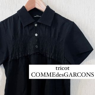 コムデギャルソン(COMME des GARCONS)のtricot COMME des GARÇONS ダメージ加工 ポロシャツ(カットソー(半袖/袖なし))