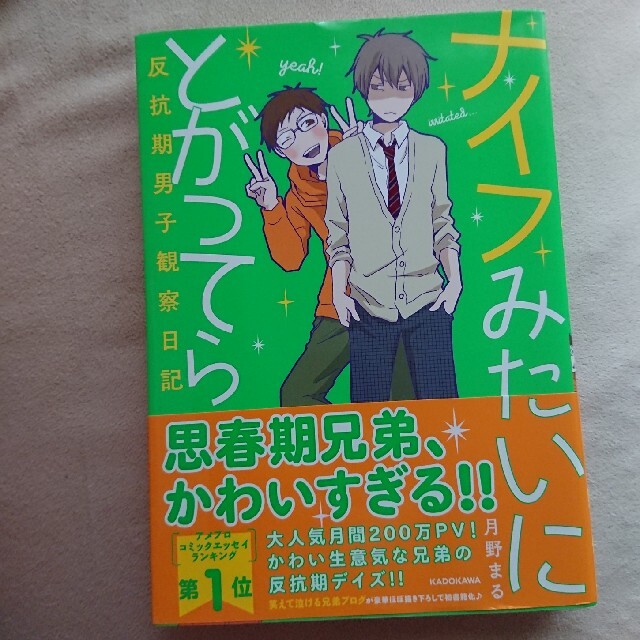 ナイフみたいにとがってら 反抗期男子観察日記 エンタメ/ホビーの本(住まい/暮らし/子育て)の商品写真