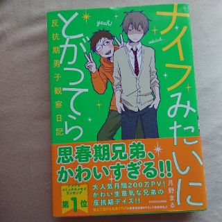 ナイフみたいにとがってら 反抗期男子観察日記(住まい/暮らし/子育て)