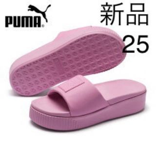 プーマ(PUMA)の新品25cm  プーマ PUMA レディースサンダル(サンダル)