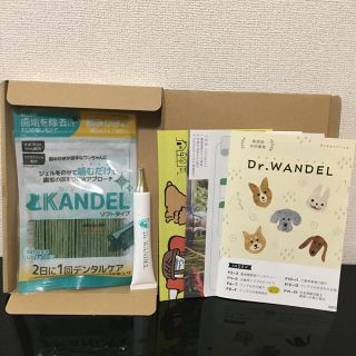 Dr.WANDEL ドクターワンデル  送料無料(口臭防止/エチケット用品)