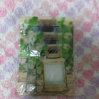 【未使用】ガーデンジッパーパック3枚組(収納/キッチン雑貨)