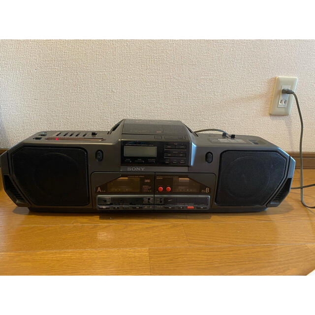 SONY DoDeCaHORN DW95