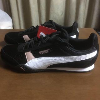 プーマ(PUMA)のプーマ　スニーカー25cm(スニーカー)