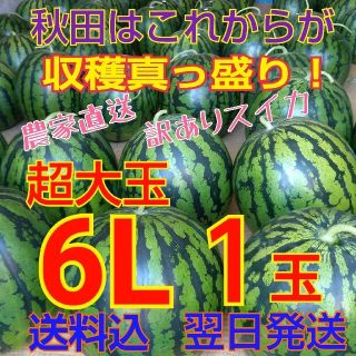 ②訳あり 糖度12度以上 秋田 農家直送スイカ 西瓜 キズ むら 6Lサイズ1玉(野菜)