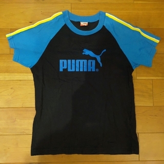 プーマ(PUMA)のPuma　水色×ブラック半袖Tシャツ　140(Tシャツ/カットソー)