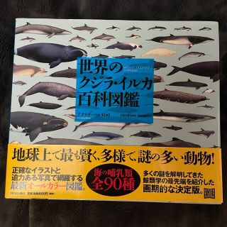 世界のクジラ・イルカ百科図鑑(科学/技術)