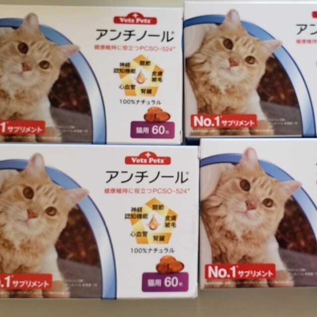 アンチノール60粒×4箱猫