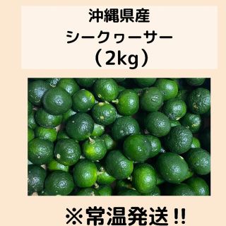 沖縄県産シークワーサー2kg常温発送(フルーツ)