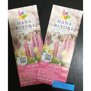 よみうりランド HANABIYORI 入園ご招待券×2枚セット　株主優待券 (遊園地/テーマパーク)