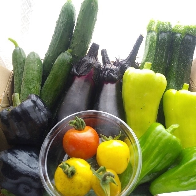 野菜詰め合わせBOX【Ｍ】(本日13時まで限定) 食品/飲料/酒の食品(野菜)の商品写真
