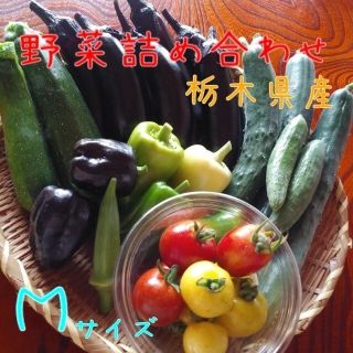 野菜詰め合わせBOX【Ｍ】(本日13時まで限定)(野菜)