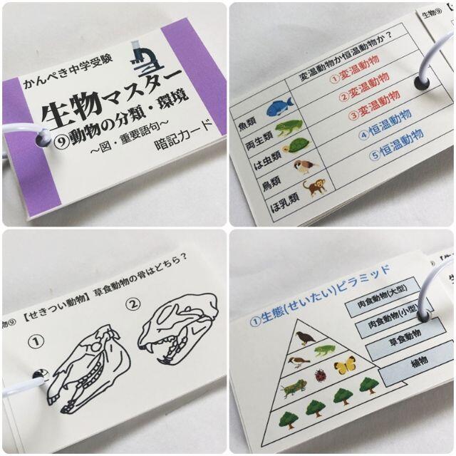 ★新商品キャンペーン【072】かんぺき中学受験理科　マスター①～⑨