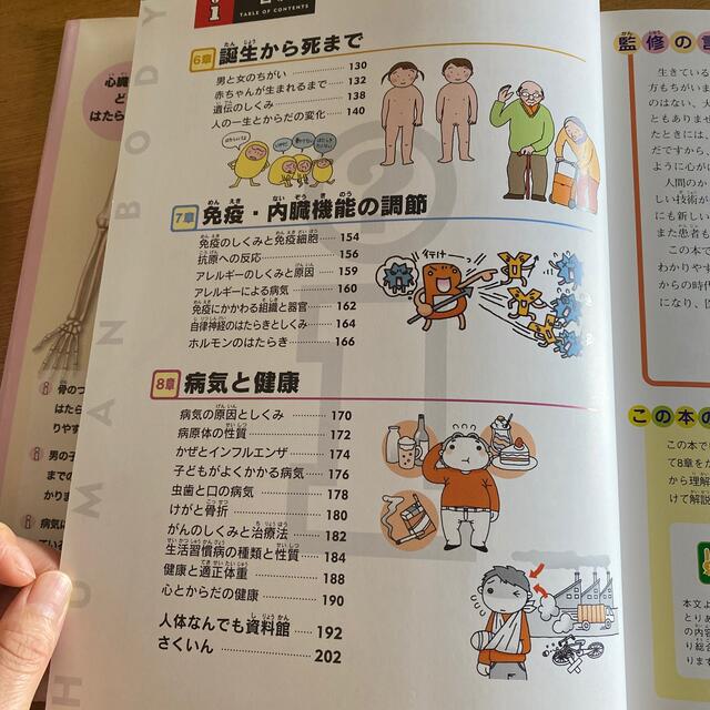 猫キジトラ様　専用ページ エンタメ/ホビーの本(絵本/児童書)の商品写真