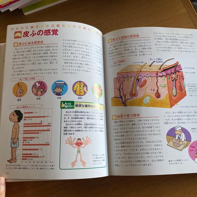 猫キジトラ様　専用ページ エンタメ/ホビーの本(絵本/児童書)の商品写真